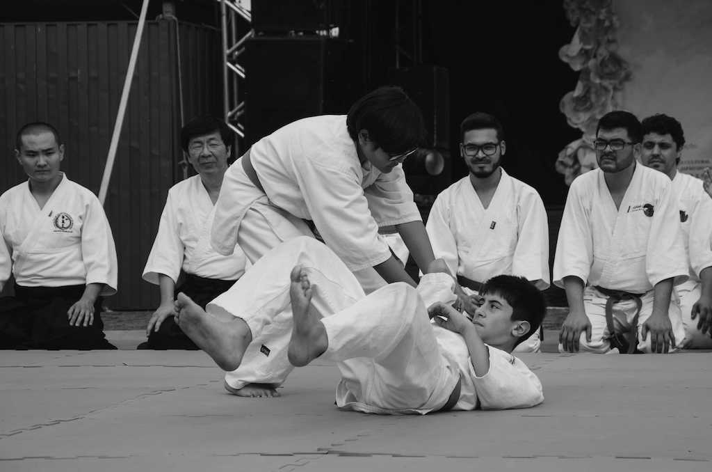 Japan_Fest_Aikido_Londrina_g