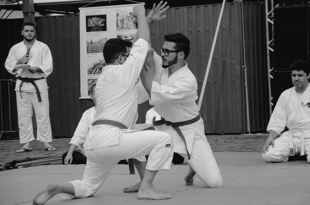 Japan_Fest_Aikido_Londrina_j