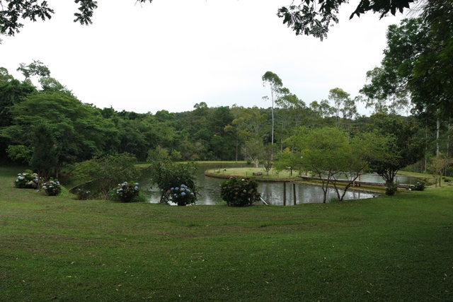 SAM_0436