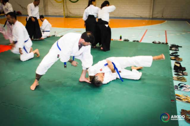 aikido-londrina-parana-brasil-31