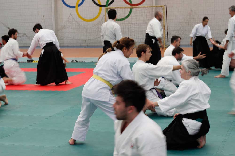 aikido-londrina-parana-brasil-51