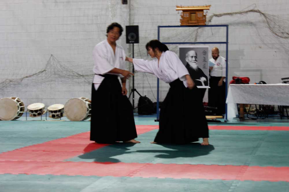 aikido-londrina-parana-brasil-53
