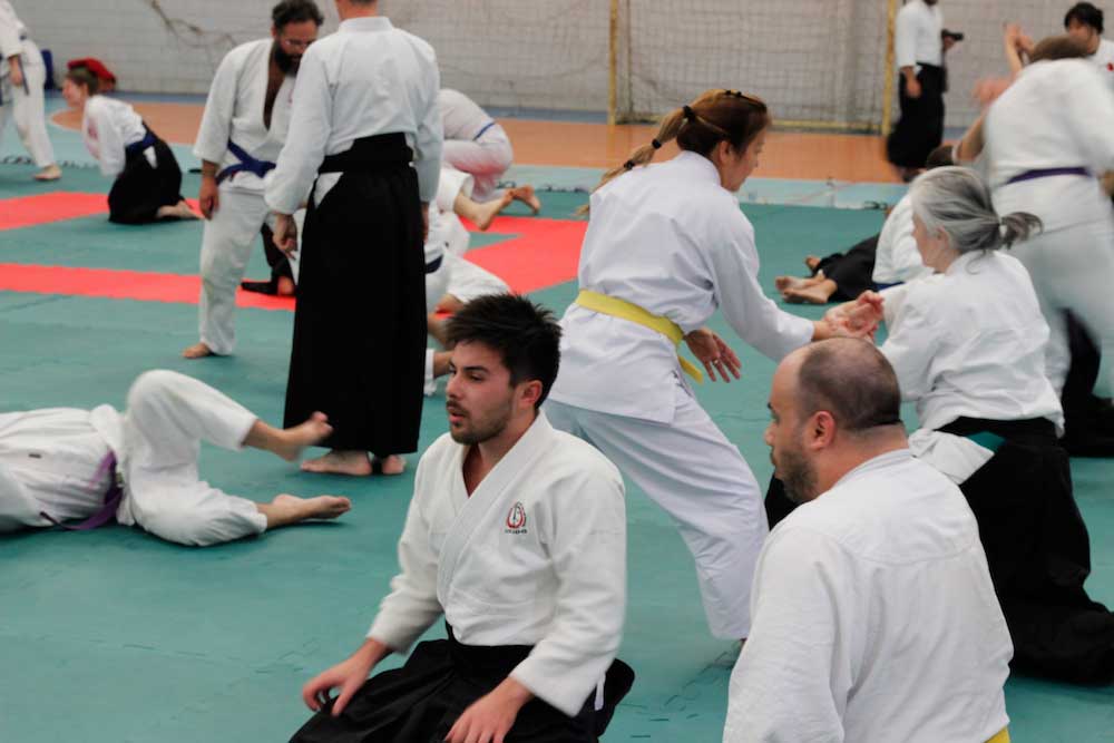 aikido-londrina-parana-brasil-55